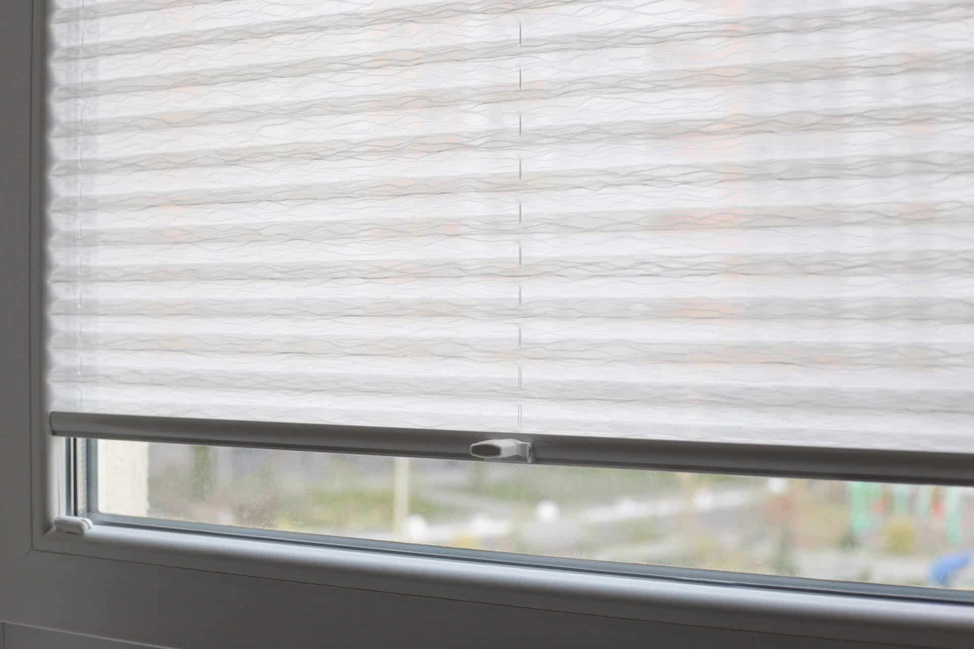 Pleated blinds